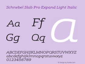 Schnebel Slab Pro Expand Light Italic Version 1.000;hotconv 1.0.105;makeotfexe 2.5.65592图片样张