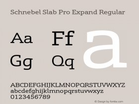 Schnebel Slab Pro Expand Version 1.000;hotconv 1.0.105;makeotfexe 2.5.65592图片样张