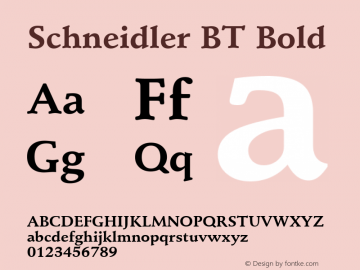 Schneidler BT Bold Version 1.01 emb4-OT图片样张