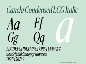 Canela Condensed LCG Italic Version 1.001;hotconv 1.0.117;makeotfexe 2.5.65602图片样张