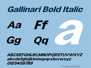 Gallinari Bold Oblique Version 1.000图片样张