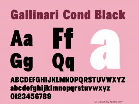 Gallinari Cond Black Version 1.000图片样张