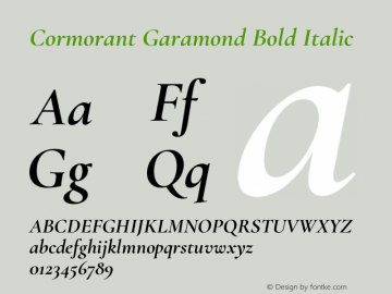 Cormorant Garamond Bold Italic Version 4.000;FEAKit 1.0图片样张