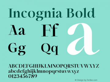 Incognia Bold Version 1.000图片样张