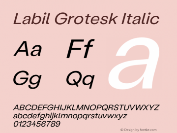 Labil Grotesk Italic Version 1.300;hotconv 1.0.109;makeotfexe 2.5.65596图片样张