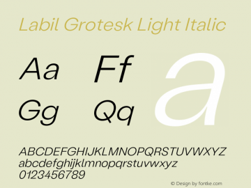 Labil Grotesk Light Italic Version 1.300;hotconv 1.0.109;makeotfexe 2.5.65596图片样张