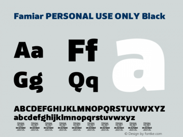 Famiar PERSONAL USE ONLY Black Version 1.001;FEAKit 1.0图片样张