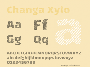 Changa Xylo Version 1.000;PS 001.000;hotconv 1.0.88;makeotf.lib2.5.64775图片样张
