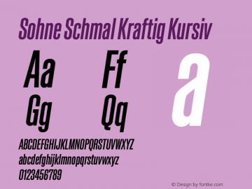 Sohne Schmal Kraftig Kursiv Version 1.109;hotconv 1.0.116;makeotfexe 2.5.65601图片样张