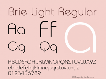 Brie Light Regular Version 1.0 Font Sample