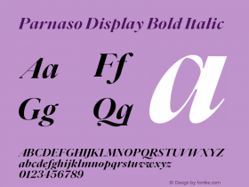 Parnaso Display Bold Italic Version 1.000;FEAKit 1.0图片样张