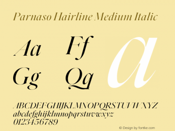 Parnaso Hairline Medium Italic Version 1.000;FEAKit 1.0图片样张