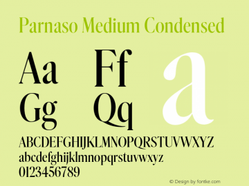 Parnaso Medium Condensed Version 0.000;PS 0.0;hotconv 1.0.70;makeotf.lib2.5.58329图片样张