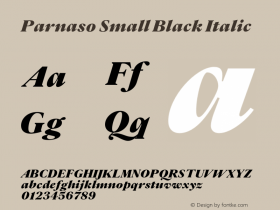 Parnaso Small Black Italic Version 1.000;FEAKit 1.0图片样张