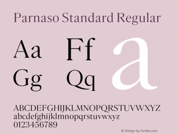 Parnaso Standard Regular Version 1.000;FEAKit 1.0图片样张