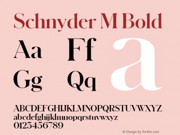 Schnyder M Bold Version 1.001 2018图片样张