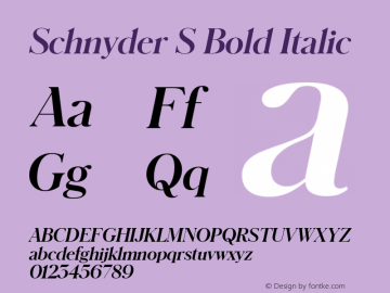 Schnyder S Bold Italic Version 1.001 2018图片样张