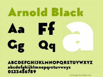 Arnold Black Version 1.00 March 27, 2017, initial release图片样张