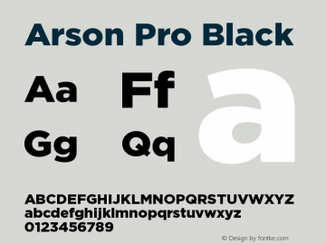 Arson Pro Black Version 1.00 October 9, 2017, initial release图片样张