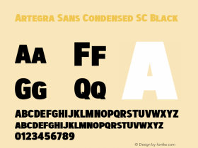 ArtegraSansCondensedSC-Black Version 1.00;com.myfonts.easy.artegra.artegra-sans.sc-cond-black.wfkit2.version.4KmY图片样张