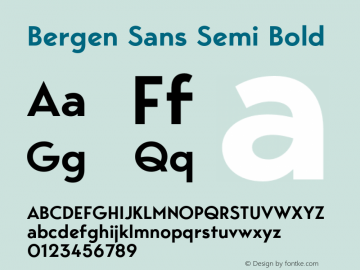 Bergen Sans Semi Bold Version 1.000图片样张