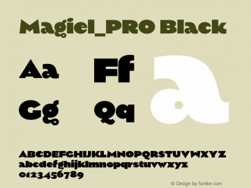 Magiel_PRO Thin Bold Version 1.000;PS 001.000;hotconv 1.0.88;makeotf.lib2.5.64775图片样张