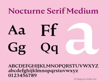 Nocturne Serif Medium Version 1.000;PS 001.000;hotconv 1.0.88;makeotf.lib2.5.64775图片样张