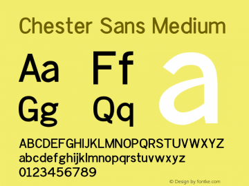 Chester Sans Medium 图片样张