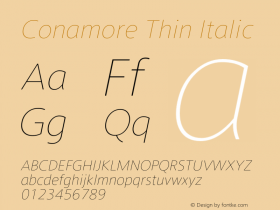 Conamore-ThinItalic Version 1.000图片样张