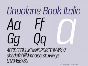 GnuolaneBk-Italic Version 2.003图片样张
