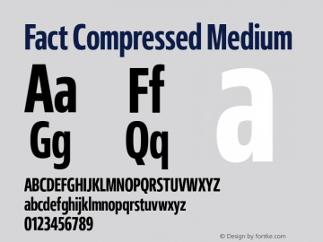 Fact-CompressedMedium Version 1.000图片样张