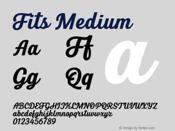 Fits Medium Version 1.000;PS 001.000;hotconv 1.0.88;makeotf.lib2.5.64775;com.myfonts.easy.deartype.fits.medium.wfkit2.version.5gtq图片样张