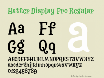 Hatter Display Pro Regular Version 1.000;PS 001.000;hotconv 1.0.88;makeotf.lib2.5.64775图片样张