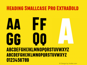 HeadingSmallcasePro-ExtraBold Version 2.001图片样张