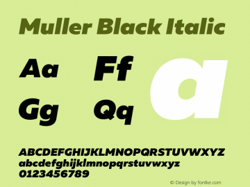 Muller Black Italic Version 1.000图片样张