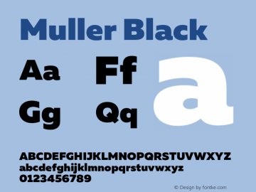 Muller Black Version 1.000;PS 001.000;hotconv 1.0.88;makeotf.lib2.5.64775图片样张