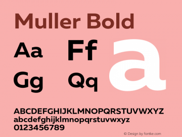 Muller Bold Version 1.000;PS 001.000;hotconv 1.0.88;makeotf.lib2.5.64775图片样张