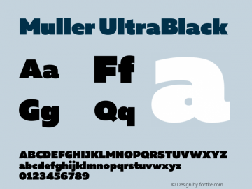 Muller UltraBlack Version 1.000图片样张