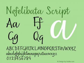 Nefelibata Script Font - What Font Is
