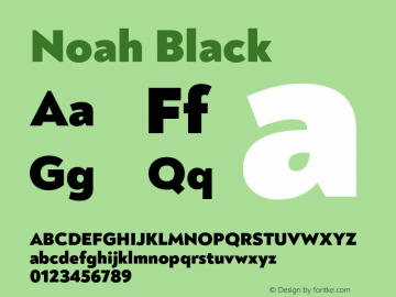 Noah Black Version 1.000;PS 001.000;hotconv 1.0.88;makeotf.lib2.5.64775图片样张