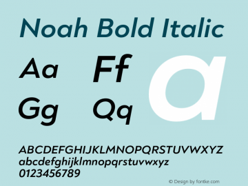 Noah Bold Italic Version 1.000;PS 001.000;hotconv 1.0.88;makeotf.lib2.5.64775图片样张