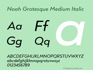 Noah Grotesque Medium Italic Version 1.000图片样张