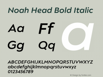 Noah Head Bold Italic Version 1.000; ttfautohint (v1.8)图片样张
