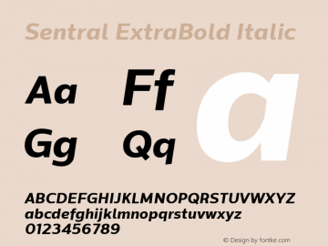 Sentral ExtraBold Italic Version 1.000; ttfautohint (v1.6)图片样张