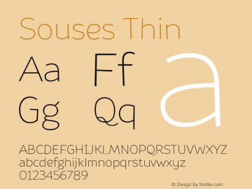 Souses-Thin Version 1.000图片样张