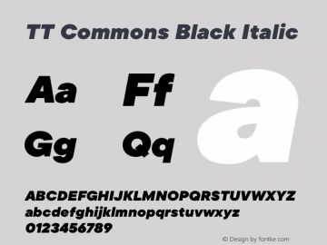 TT Commons Black Italic Version 1.000; ttfautohint (v1.8.1)图片样张