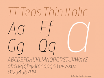 TT Teds Thin Italic Version 1.000; ttfautohint (v1.5)图片样张