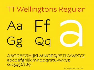 TT Wellingtons Regular Version 1.000图片样张
