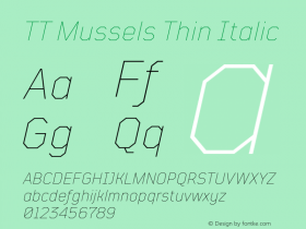 TTMussels-ThinItalic Version 1.000图片样张