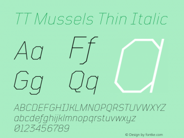 TTMussels-ThinItalic Version 1.000图片样张